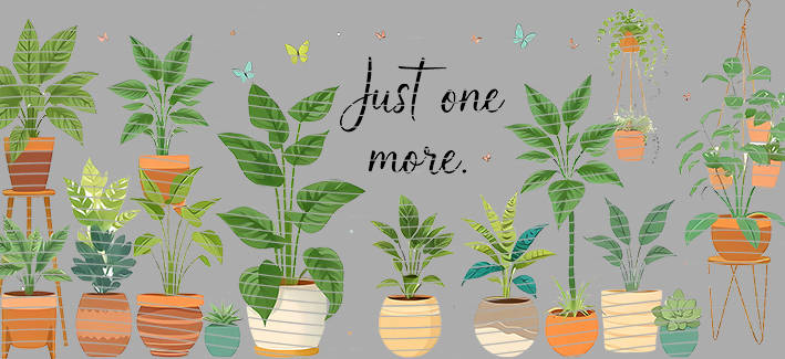 16oz Element-EN-1491